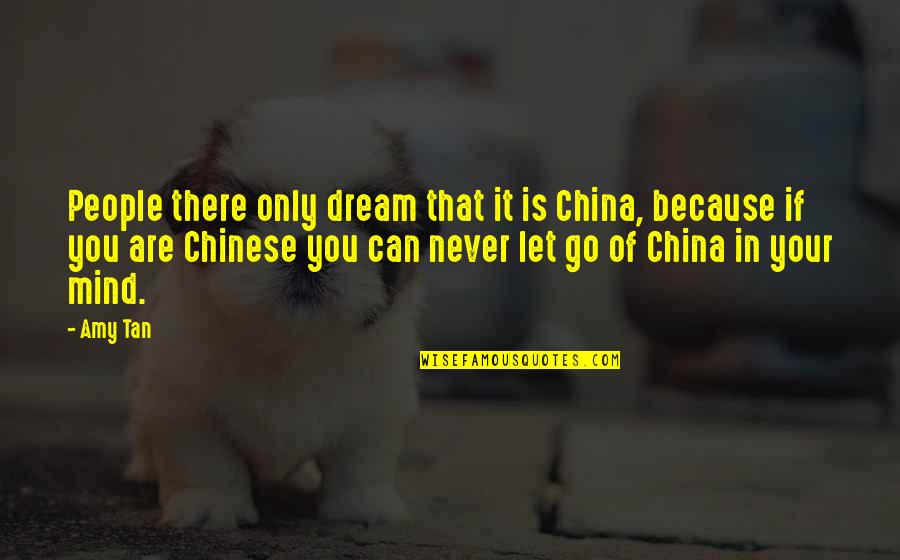 Mikkelborg Attorney Quotes By Amy Tan: People there only dream that it is China,