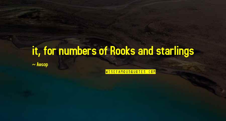 Mikkola Vantaa Quotes By Aesop: it, for numbers of Rooks and starlings