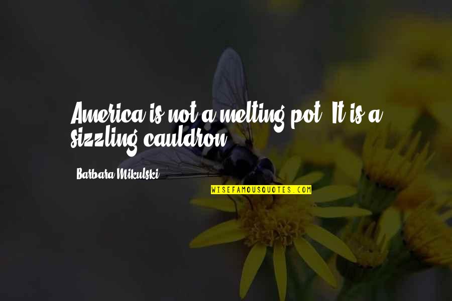 Mikulski Barbara Quotes By Barbara Mikulski: America is not a melting pot. It is