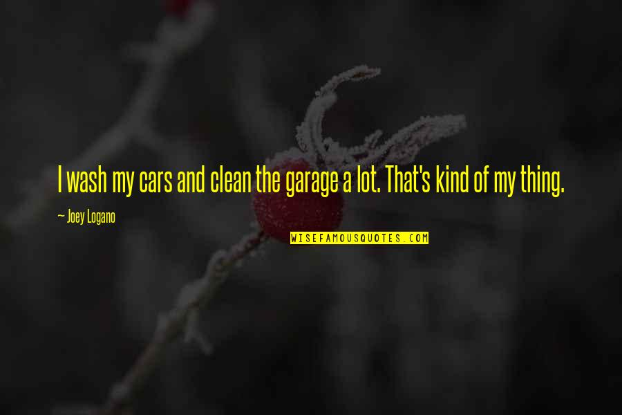 Milas Viesulis Quotes By Joey Logano: I wash my cars and clean the garage