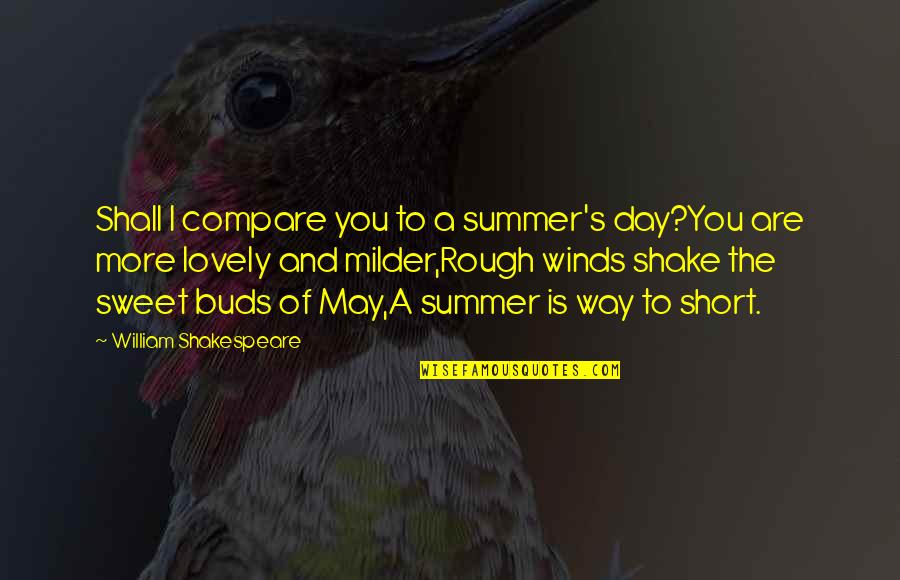 Milder Quotes By William Shakespeare: Shall I compare you to a summer's day?You