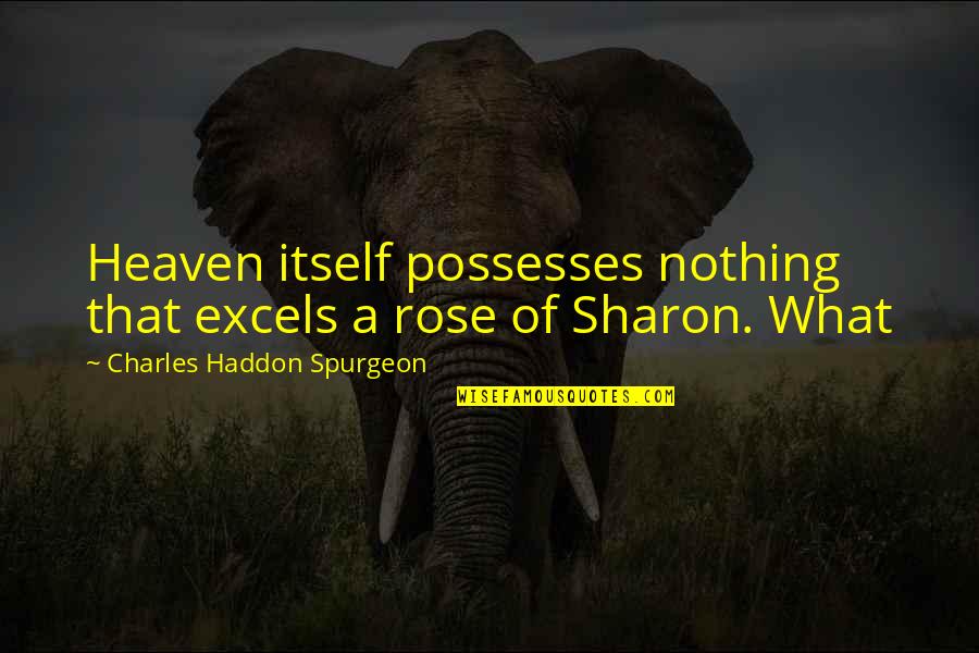 Mildmay Tent Quotes By Charles Haddon Spurgeon: Heaven itself possesses nothing that excels a rose Mildmay Tent Quotes By Charles Haddon Spurgeon: Heaven itself possesses nothing that excels a rose