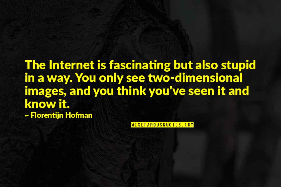 Mile High Rk Lilley Quotes By Florentijn Hofman: The Internet is fascinating but also stupid in