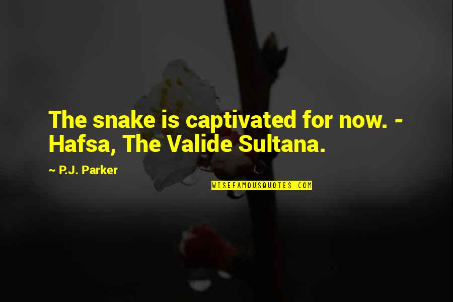 Milemarker Quotes By P.J. Parker: The snake is captivated for now. - Hafsa,