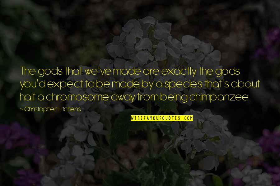 Miles Dyson Quotes By Christopher Hitchens: The gods that we've made are exactly the Miles Dyson Quotes By Christopher Hitchens: The gods that we've made are exactly the