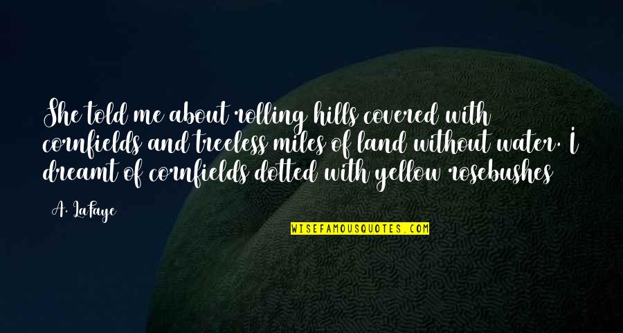Miles On The Water Quotes By A. LaFaye: She told me about rolling hills covered with