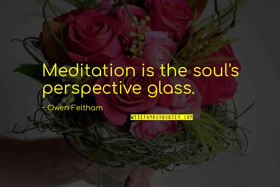 Miles To Go In Life Quotes By Owen Feltham: Meditation is the soul's perspective glass.