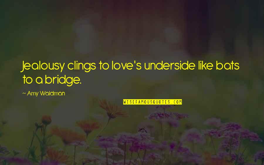 Milestone Achieved Quotes By Amy Waldman: Jealousy clings to love's underside like bats to
