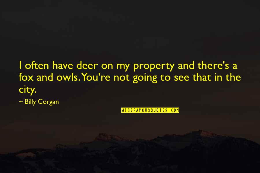 Military Pilots Quotes By Billy Corgan: I often have deer on my property and