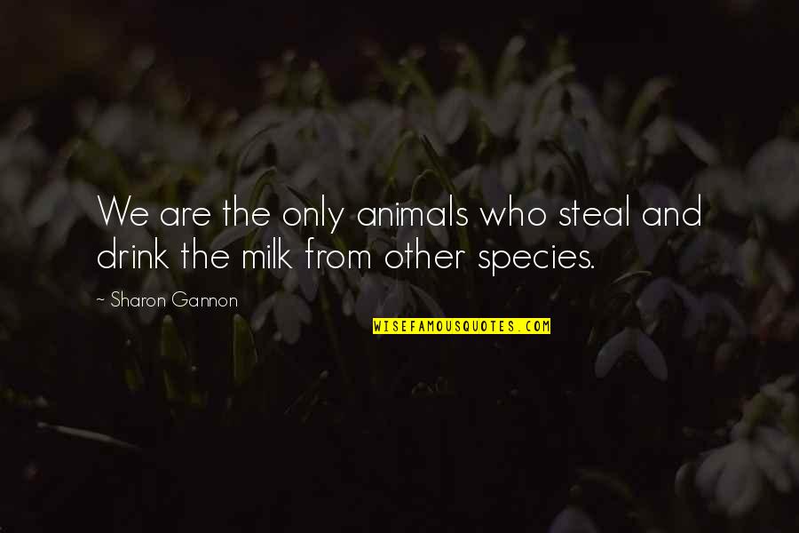 Milk Drink Quotes By Sharon Gannon: We are the only animals who steal and