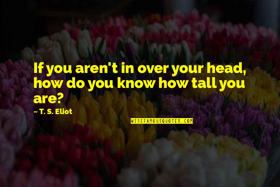 Millay Group Quotes By T. S. Eliot: If you aren't in over your head, how