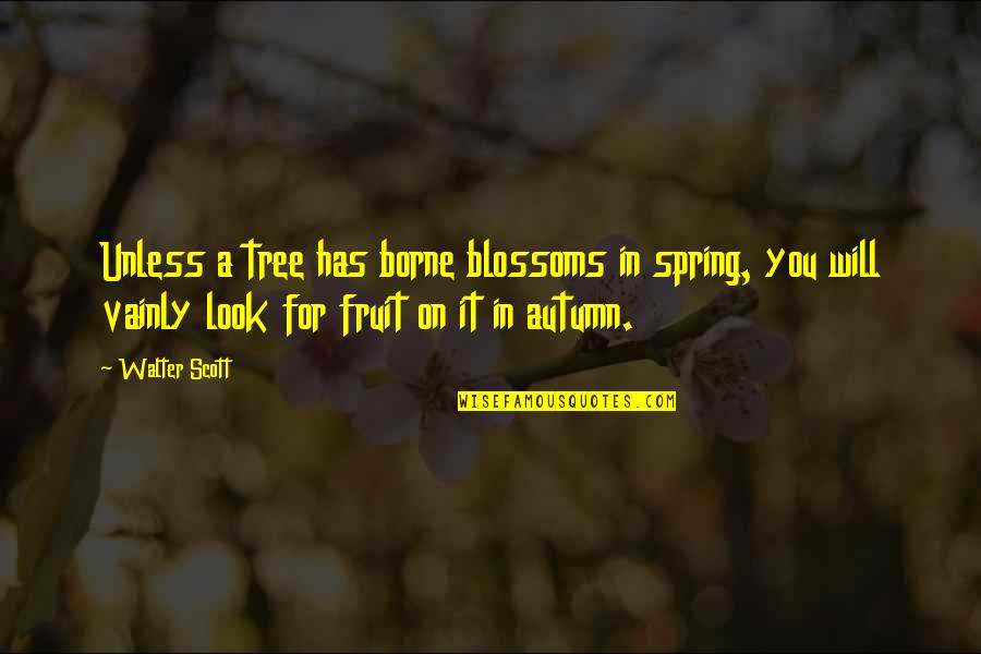Milliano Baxter Quotes By Walter Scott: Unless a tree has borne blossoms in spring,