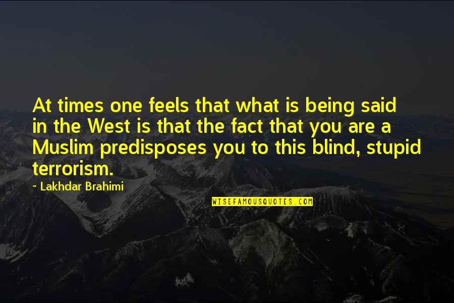 Millimeters In Inches Quotes By Lakhdar Brahimi: At times one feels that what is being