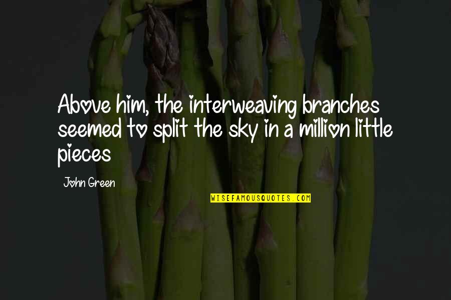 Million Little Pieces Quotes By John Green: Above him, the interweaving branches seemed to split
