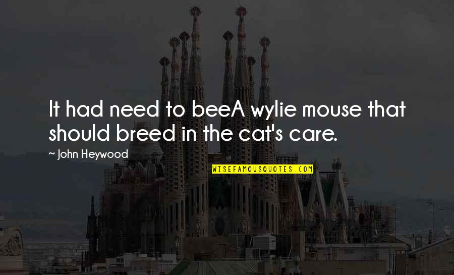 Millionaires Mindset Quotes By John Heywood: It had need to beeA wylie mouse that