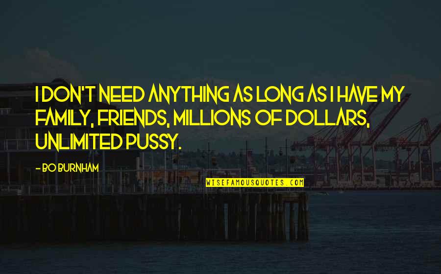 Millions Of Dollars Quotes By Bo Burnham: I don't need anything as long as I