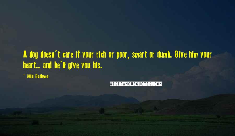 Milo Gathema quotes: A dog doesn't care if your rich or poor, smart or dumb. Give him your heart.. and he'll give you his.