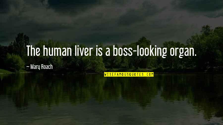Milo Manara Quotes By Mary Roach: The human liver is a boss-looking organ. Milo Manara Quotes By Mary Roach: The human liver is a boss-looking organ.