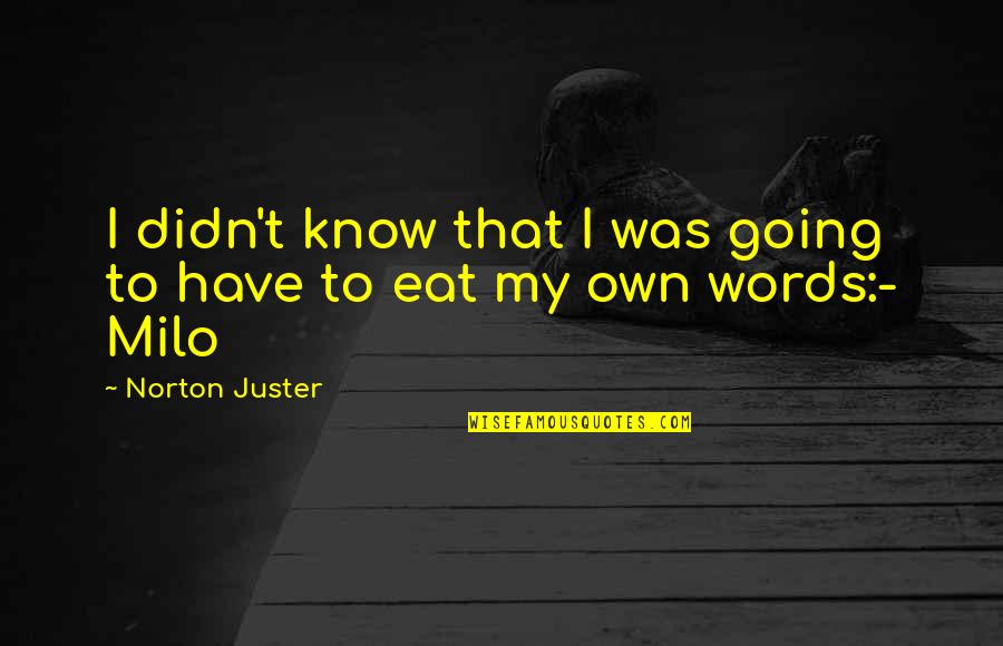 Milo Quotes By Norton Juster: I didn't know that I was going to