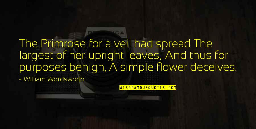 Milosevic Predecessor Quotes By William Wordsworth: The Primrose for a veil had spread The Milosevic Predecessor Quotes By William Wordsworth: The Primrose for a veil had spread The