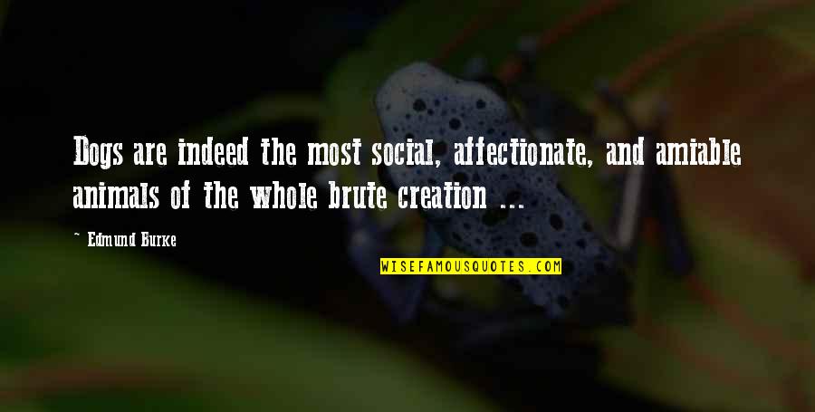 Miloshd Quotes By Edmund Burke: Dogs are indeed the most social, affectionate, and Miloshd Quotes By Edmund Burke: Dogs are indeed the most social, affectionate, and