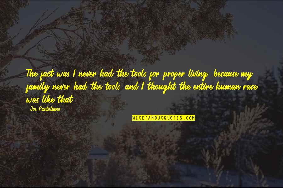 Milostenie Dex Quotes By Joe Pantoliano: The fact was I never had the tools