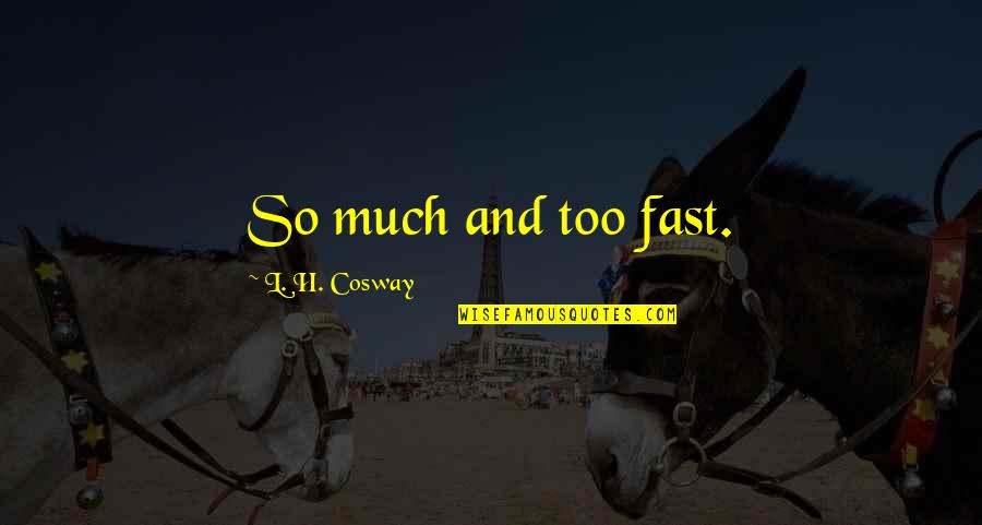 Mimado Significado Quotes By L. H. Cosway: So much and too fast.