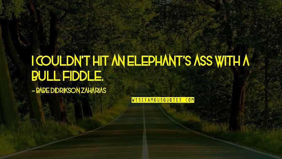 Minamoto Teru Quotes By Babe Didrikson Zaharias: I couldn't hit an elephant's ass with a Minamoto Teru Quotes By Babe Didrikson Zaharias: I couldn't hit an elephant's ass with a
