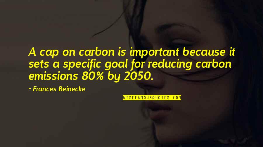 Mination Quotes By Frances Beinecke: A cap on carbon is important because it