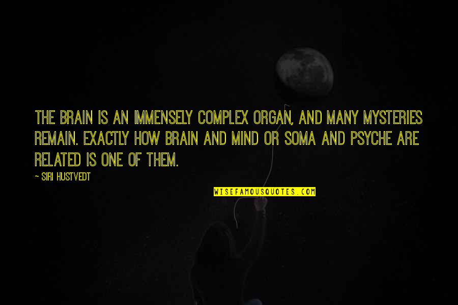 Mind And Brain Quotes By Siri Hustvedt: The brain is an immensely complex organ, and