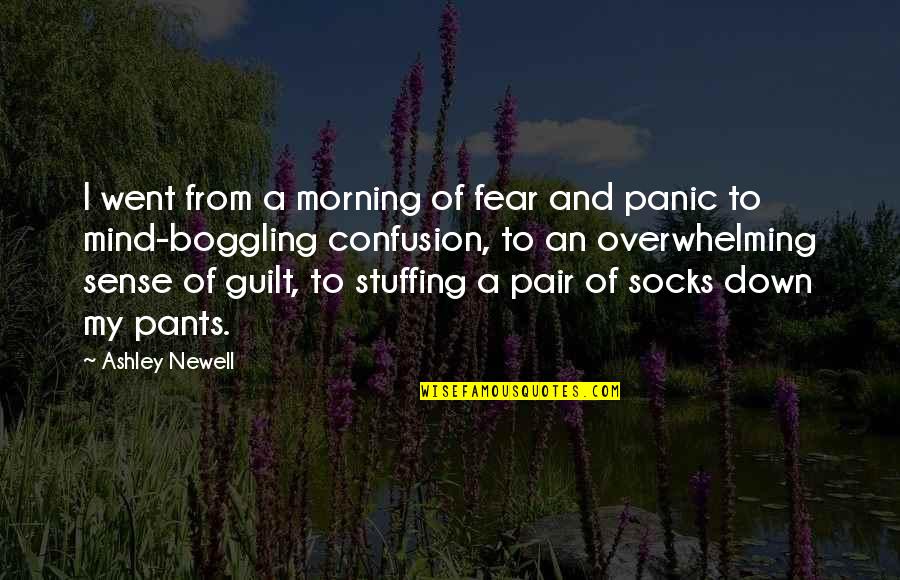 Mind And Sense Quotes By Ashley Newell: I went from a morning of fear and