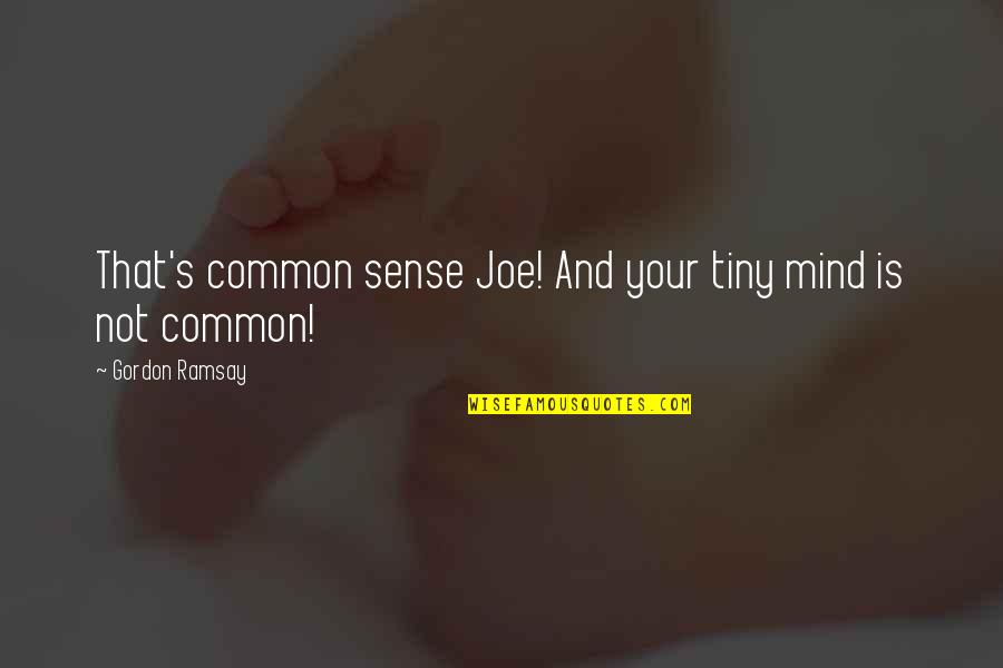 Mind And Sense Quotes By Gordon Ramsay: That's common sense Joe! And your tiny mind
