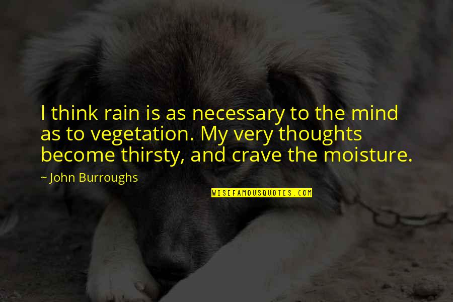 Mind And Thinking Quotes By John Burroughs: I think rain is as necessary to the