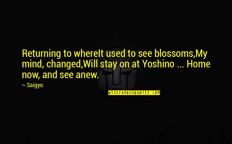 Mind And Will Quotes By Saigyo: Returning to whereIt used to see blossoms,My mind, Mind And Will Quotes By Saigyo: Returning to whereIt used to see blossoms,My mind,