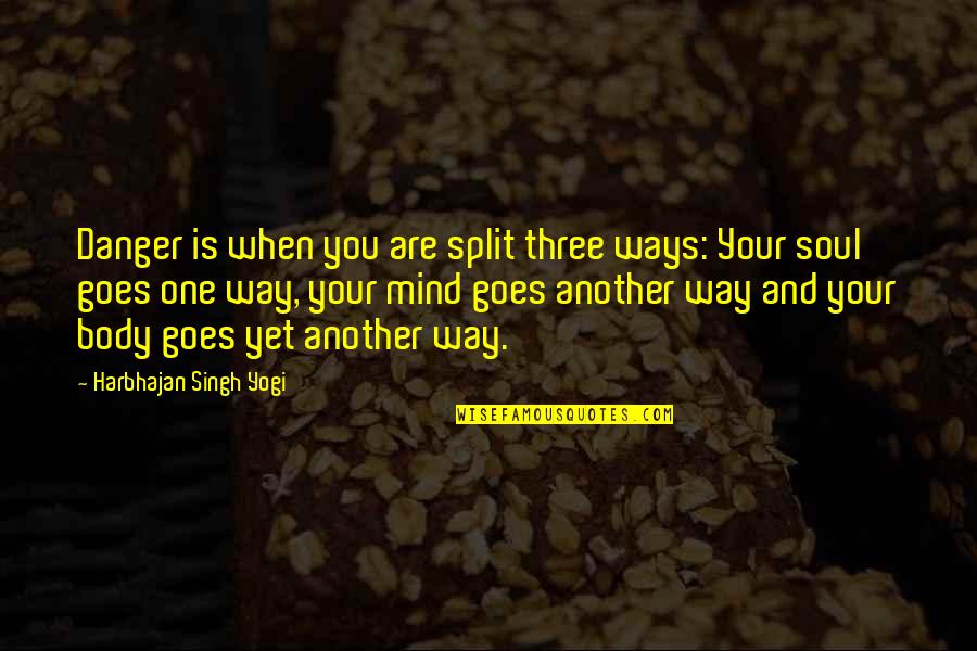 Mind Body Soul Quotes By Harbhajan Singh Yogi: Danger is when you are split three ways: