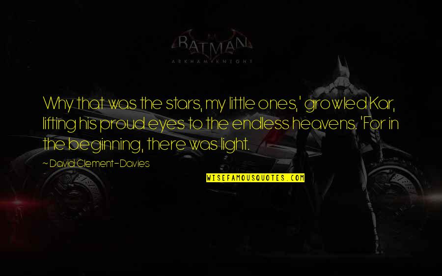 Mind Bottling Quotes By David Clement-Davies: Why that was the stars, my little ones,' Mind Bottling Quotes By David Clement-Davies: Why that was the stars, my little ones,'