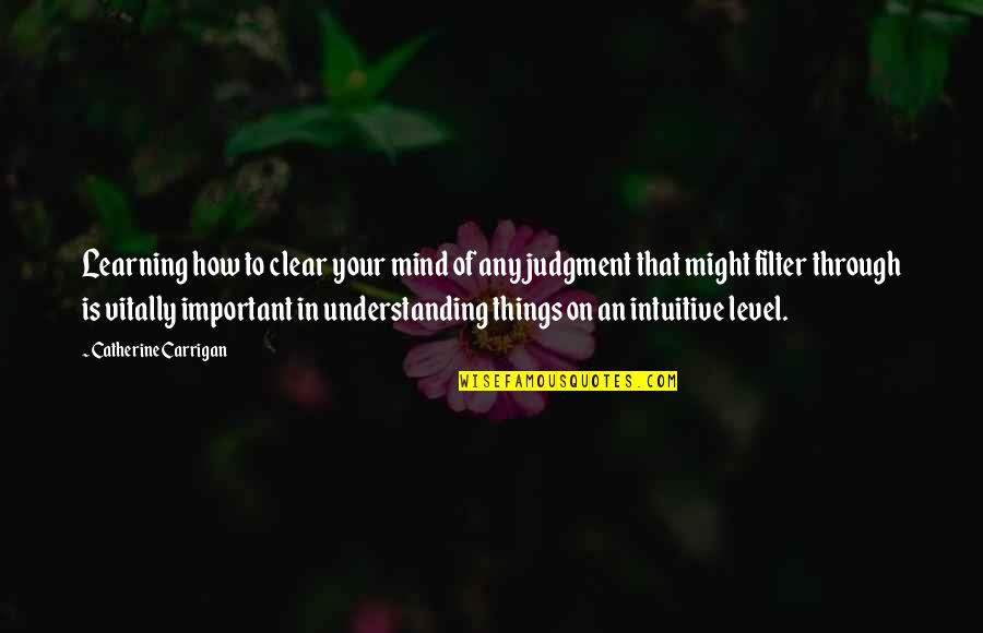 Mind Clear Quotes By Catherine Carrigan: Learning how to clear your mind of any