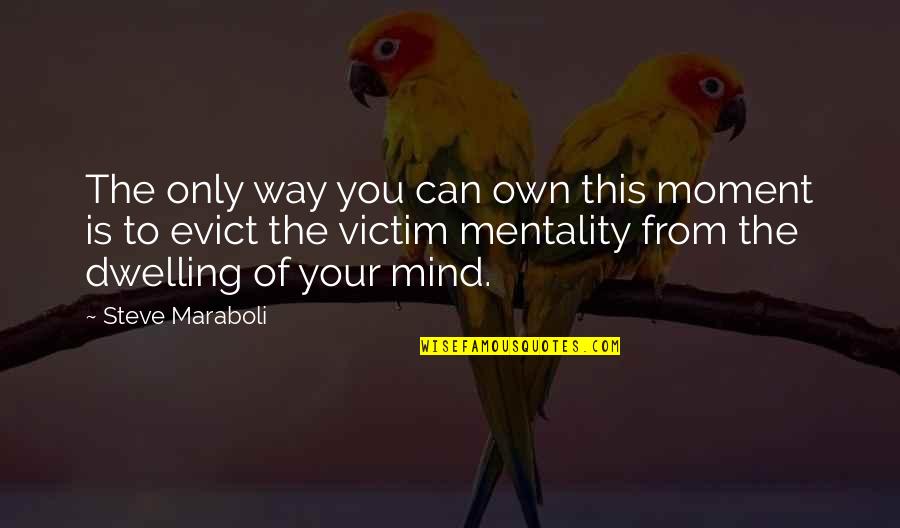 Mind Dwelling Quotes By Steve Maraboli: The only way you can own this moment