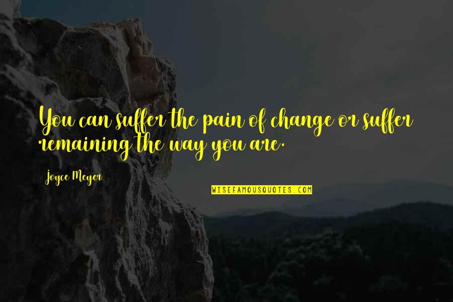 Mind Edge Quotes By Joyce Meyer: You can suffer the pain of change or