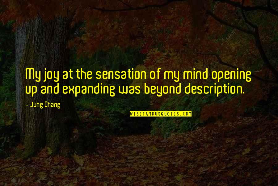 Mind Expanding Quotes By Jung Chang: My joy at the sensation of my mind