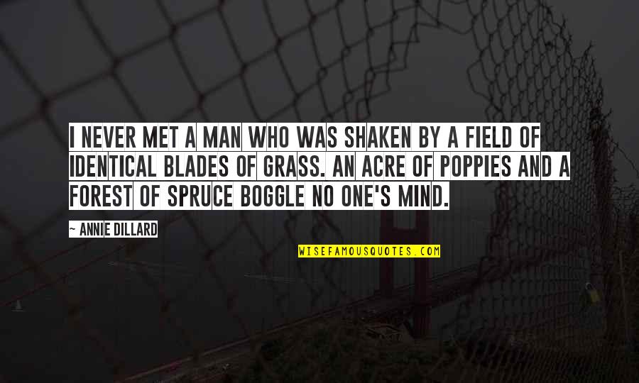 Mind Field Quotes By Annie Dillard: I never met a man who was shaken