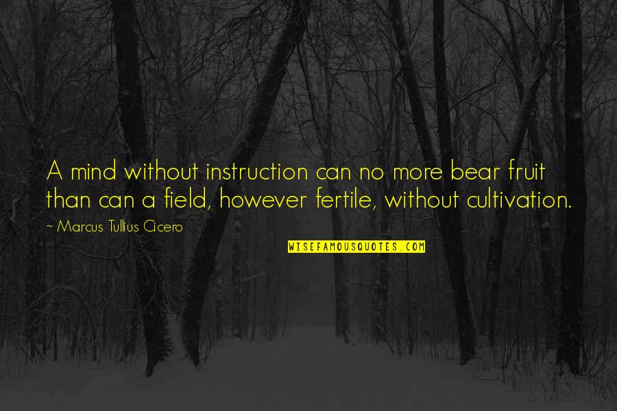 Mind Field Quotes By Marcus Tullius Cicero: A mind without instruction can no more bear