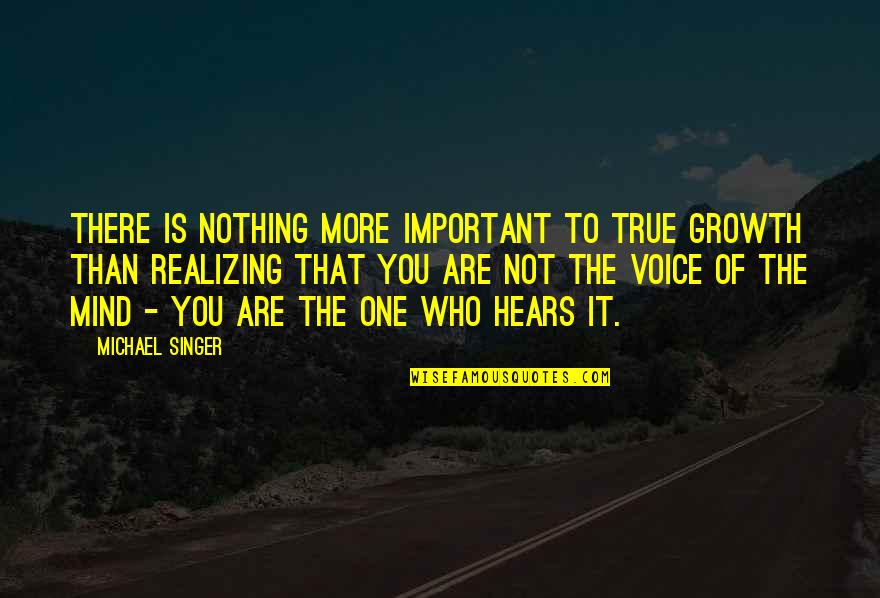 Mind Growth Quotes By Michael Singer: There is nothing more important to true growth