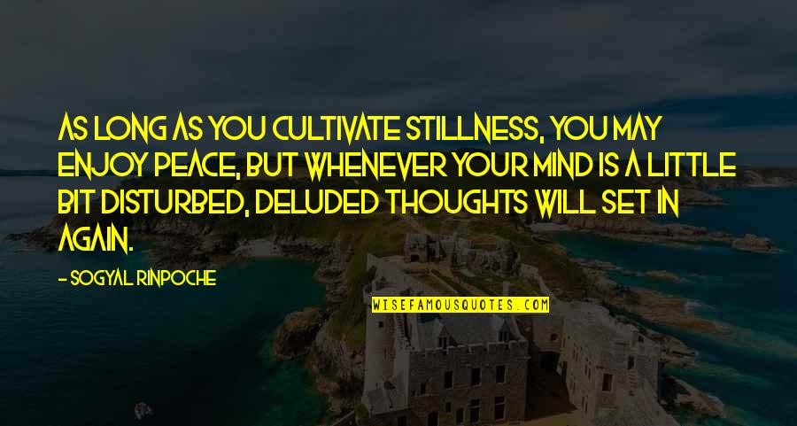 Mind Is Disturbed Quotes By Sogyal Rinpoche: As long as you cultivate stillness, you may