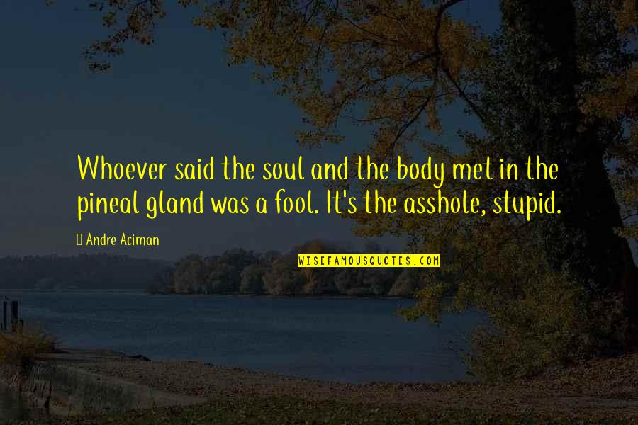 Mind Messed Up Quotes By Andre Aciman: Whoever said the soul and the body met