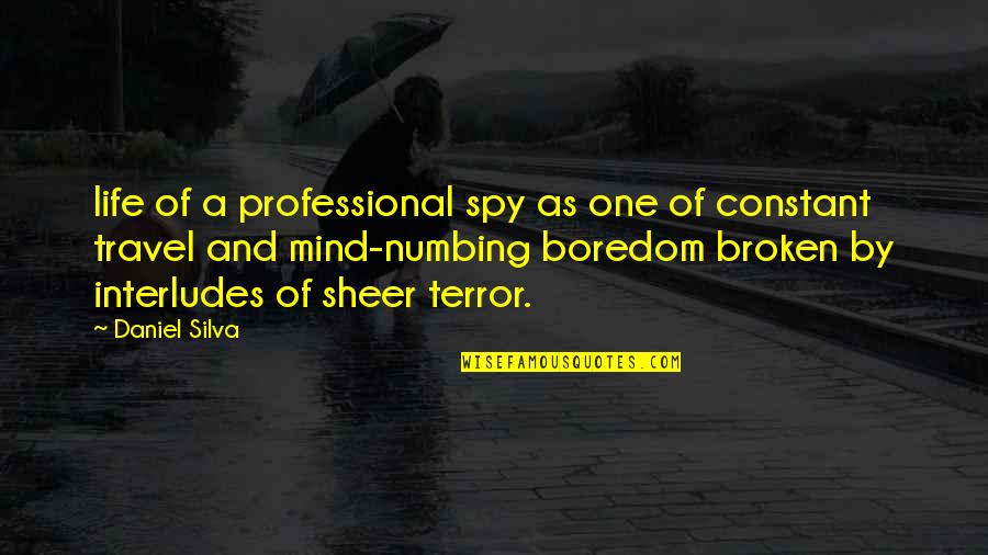 Mind Numbing Quotes By Daniel Silva: life of a professional spy as one of