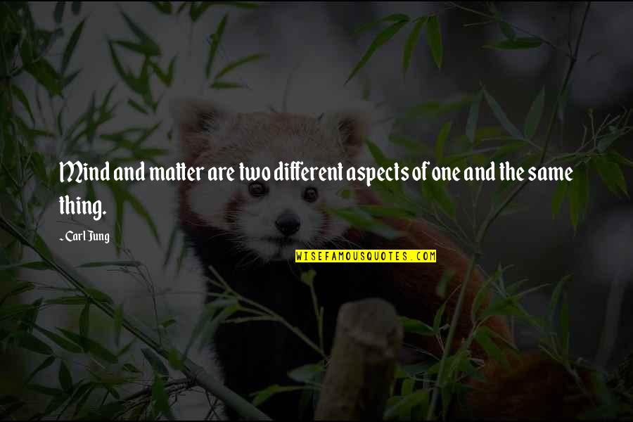 Mind Of Matter Quotes By Carl Jung: Mind and matter are two different aspects of