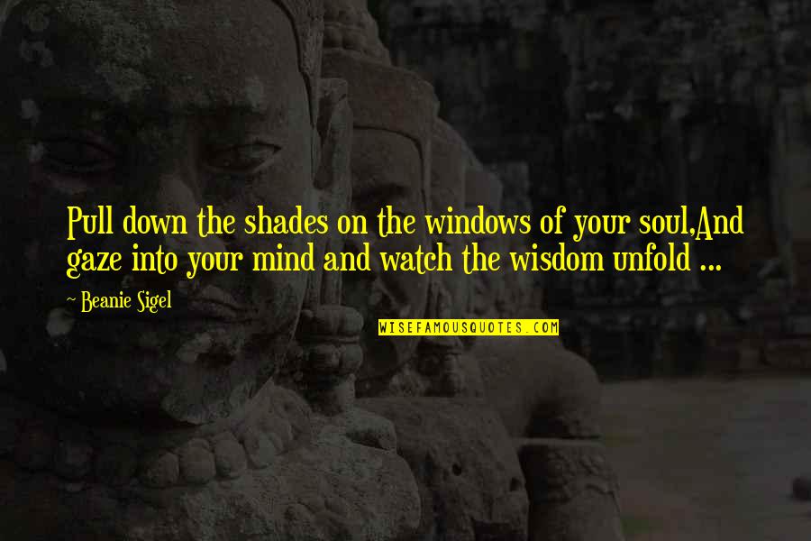 Mind Of The Soul Quotes By Beanie Sigel: Pull down the shades on the windows of