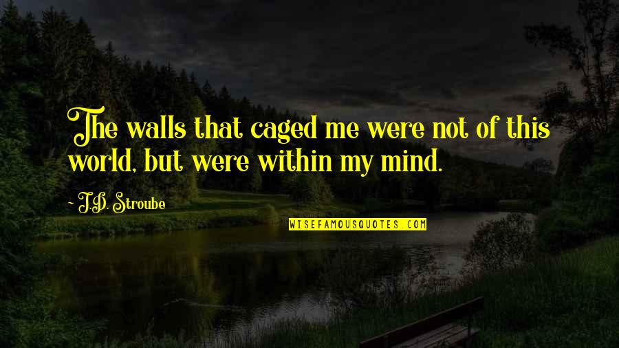 Mind Of The Soul Quotes By J.D. Stroube: The walls that caged me were not of