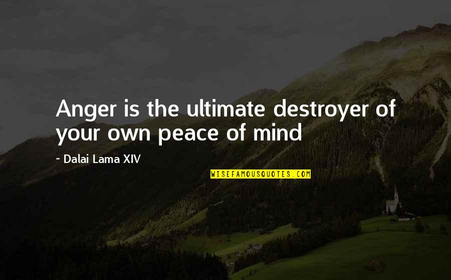 Mind Of Your Own Quotes By Dalai Lama XIV: Anger is the ultimate destroyer of your own Mind Of Your Own Quotes By Dalai Lama XIV: Anger is the ultimate destroyer of your own